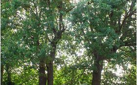 Twin Oaks